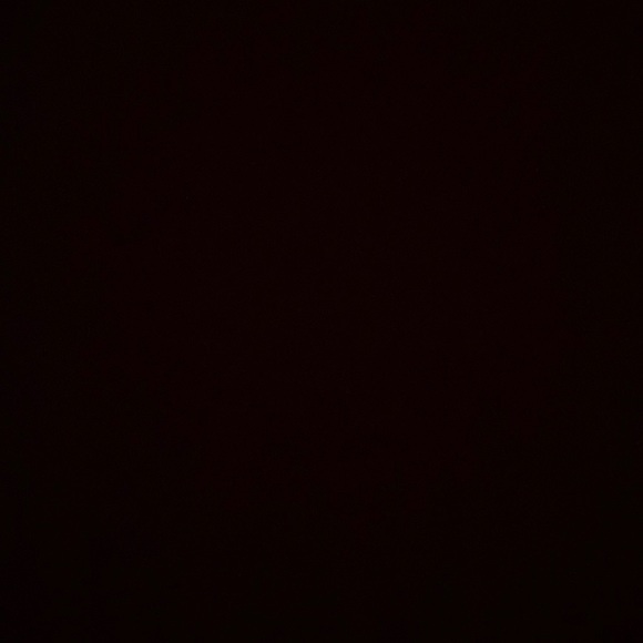 Meet your Posher, Maya - Picture 1 of 1